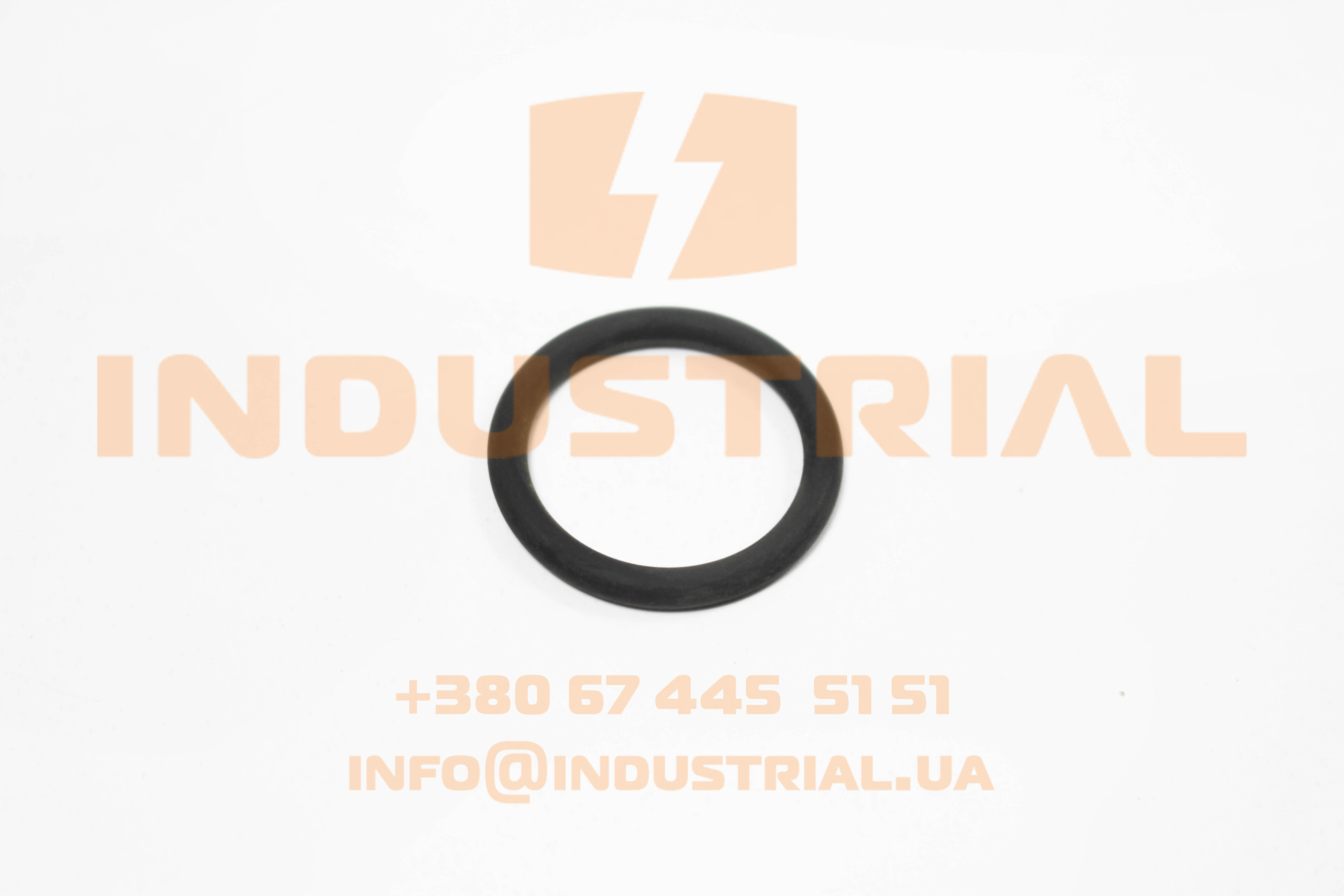 ZFP 2995836 ZF